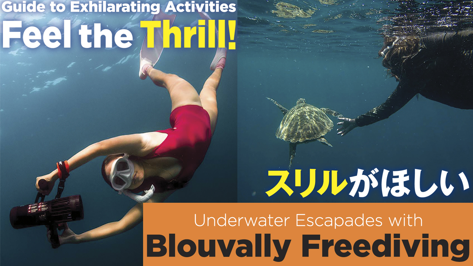 【スリルがほしい】静寂のグラン・ブルーの世界へ　Underwater Escapades